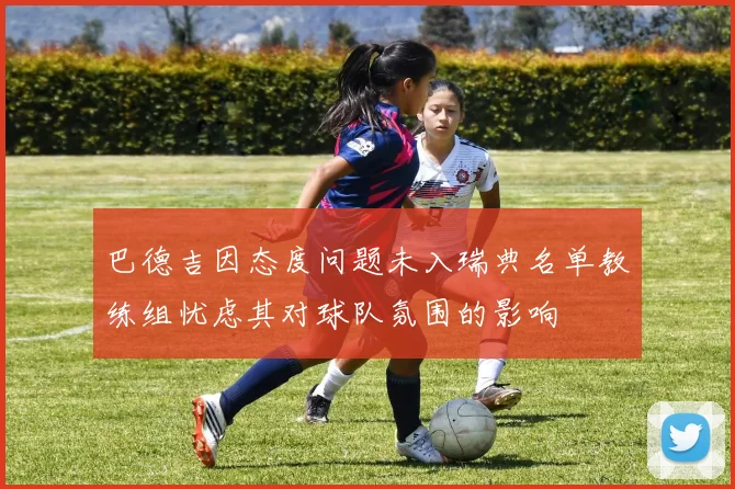 巴德吉因态度问题未入瑞典名单教练组忧虑其对球队氛围的影响