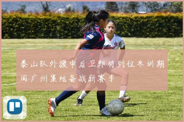 泰山队外援中后卫即将到位冬训期间广州集结备战新赛季